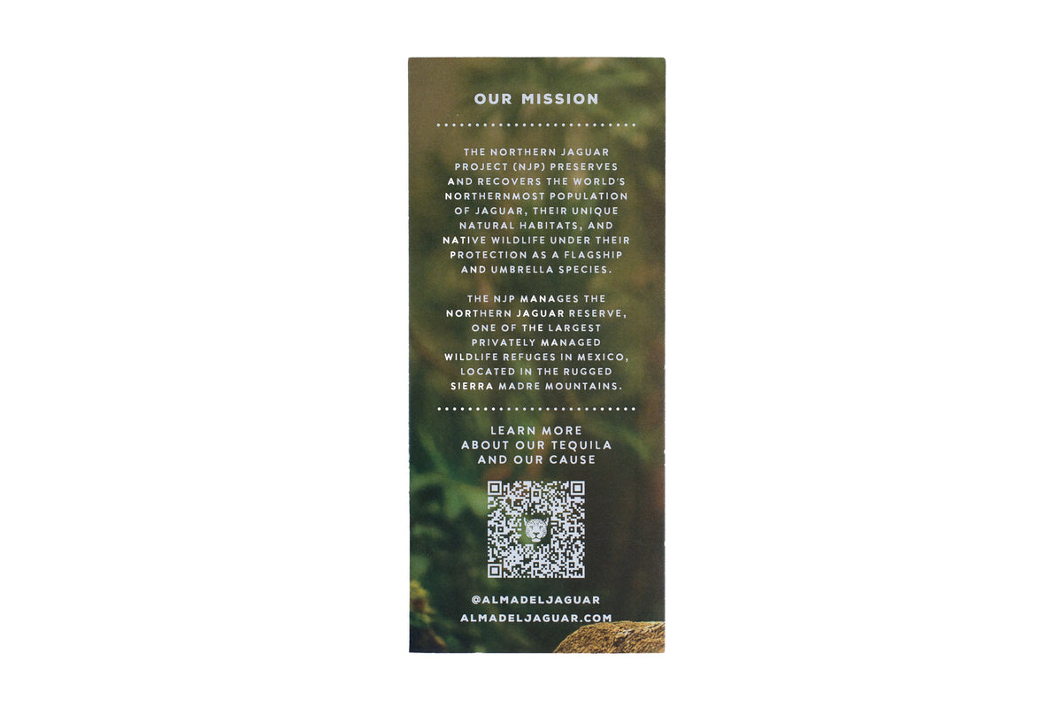 ADJ Brochures