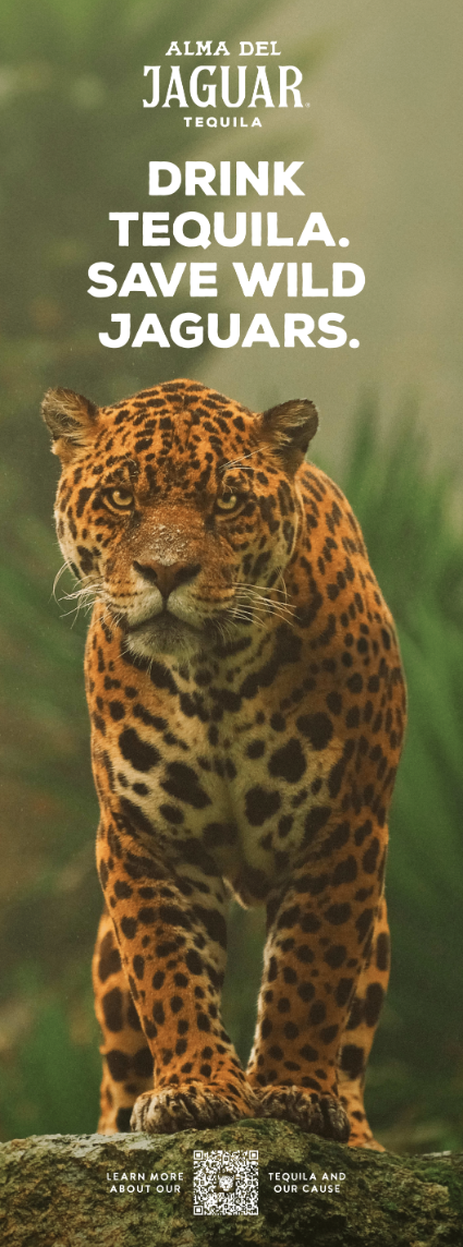 ADJ Jaguar Retractable Banner