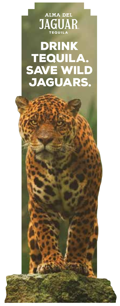 ADJ Jaguar Cutout